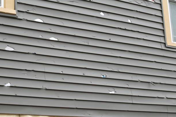 Best Property Management Cleanouts  in Glendive, MT