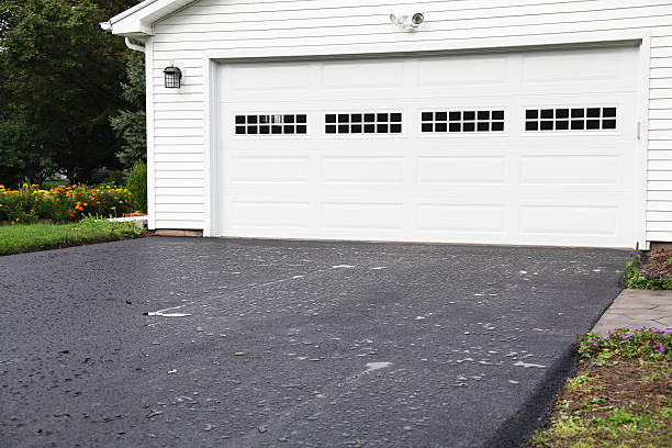 Best Hoarding Cleanup  in Glendive, MT