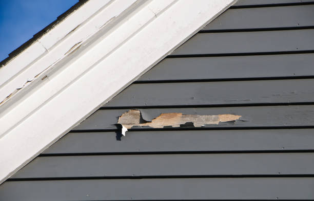 Best Attic Cleanout  in Glendive, MT